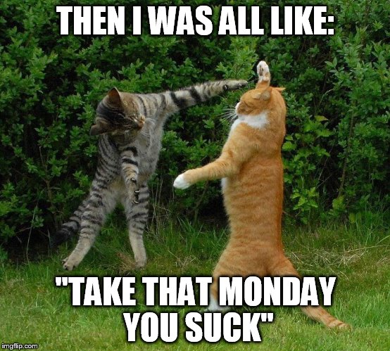 THEN I WAS ALL LIKE: "TAKE THAT MONDAY YOU SUCK" | made w/ Imgflip meme maker