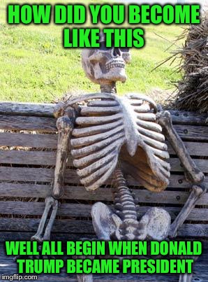 Waiting Skeleton Meme | HOW DID YOU BECOME LIKE THIS; WELL ALL BEGIN WHEN DONALD TRUMP BECAME PRESIDENT | image tagged in memes,waiting skeleton | made w/ Imgflip meme maker