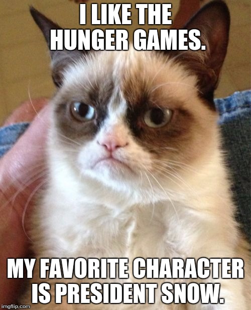 Grumpy Cat Meme | I LIKE THE HUNGER GAMES. MY FAVORITE CHARACTER IS PRESIDENT SNOW. | image tagged in memes,grumpy cat | made w/ Imgflip meme maker