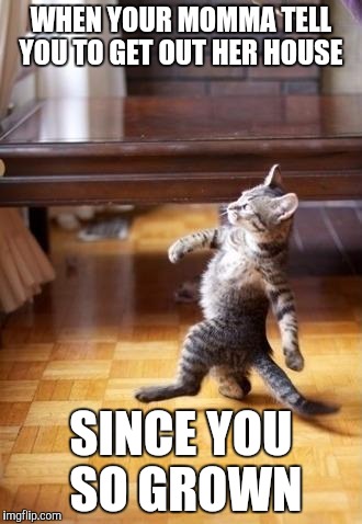 Cool Cat Stroll Meme | WHEN YOUR MOMMA TELL YOU TO GET OUT HER HOUSE; SINCE YOU SO GROWN | image tagged in memes,cool cat stroll | made w/ Imgflip meme maker