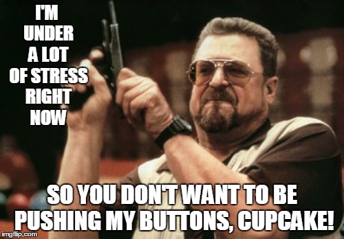 I'm under a lot of stress right now... | I'M UNDER A LOT OF STRESS RIGHT NOW; SO YOU DON'T WANT TO BE PUSHING MY BUTTONS, CUPCAKE! | image tagged in memes,am i the only one around here | made w/ Imgflip meme maker