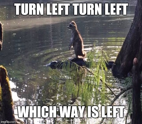 TURN LEFT TURN LEFT WHICH WAY IS LEFT | made w/ Imgflip meme maker