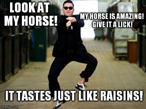LOOK AT MY HORSE! MY HORSE IS AMAZING! GIVE IT A LICK! IT TASTES JUST LIKE RAISINS! | image tagged in psy dance | made w/ Imgflip meme maker