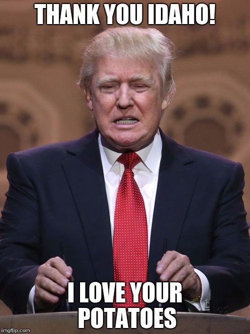 Donald Trump | THANK YOU IDAHO! I LOVE YOUR POTATOES | image tagged in donald trump | made w/ Imgflip meme maker