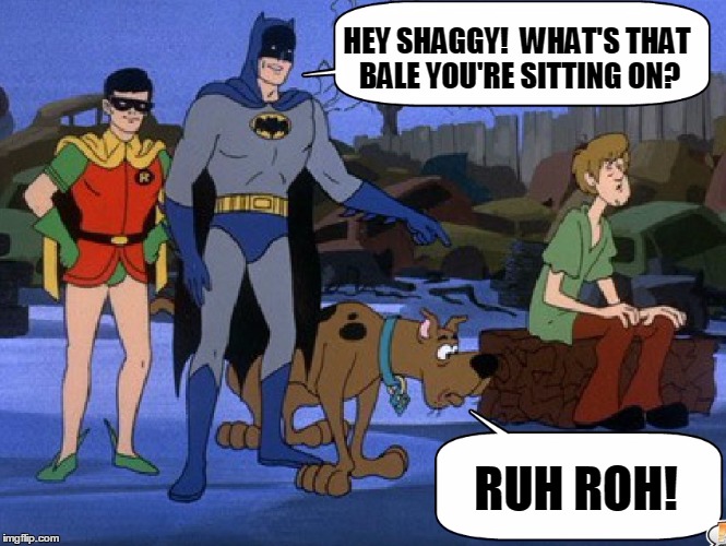 Shaggy Busted | HEY SHAGGY!  WHAT'S THAT BALE YOU'RE SITTING ON? RUH ROH! | image tagged in shaggy busted,memes,shaggy,scooby doo,batman,robin | made w/ Imgflip meme maker