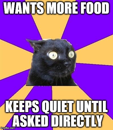 Social Anxiety Cat | WANTS MORE FOOD; KEEPS QUIET UNTIL ASKED DIRECTLY | image tagged in social anxiety cat | made w/ Imgflip meme maker