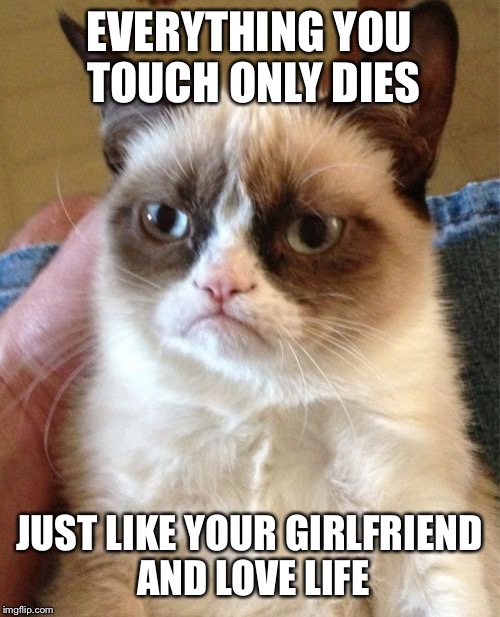 Grumpy Cat Meme | EVERYTHING YOU TOUCH ONLY DIES; JUST LIKE YOUR GIRLFRIEND AND LOVE LIFE | image tagged in memes,grumpy cat | made w/ Imgflip meme maker