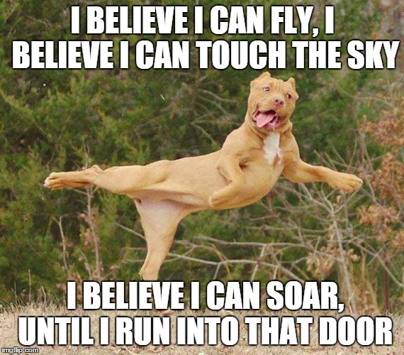 I can believe i let you. I believe i can Fly. I believe i can Fly i believe i can Touch the Sky. I believe i can Fly Мем. R Kelly i believe i can Fly.