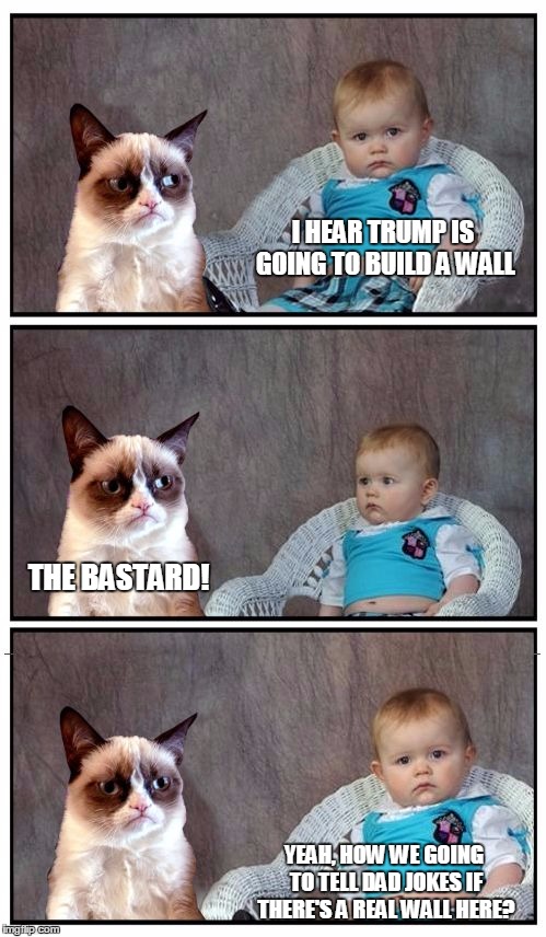 Dad Joke Cat | I HEAR TRUMP IS GOING TO BUILD A WALL THE BASTARD! YEAH, HOW WE GOING TO TELL DAD JOKES IF THERE'S A REAL WALL HERE? | image tagged in dad joke cat | made w/ Imgflip meme maker