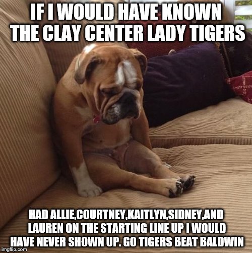 bulldogsad | IF I WOULD HAVE KNOWN THE CLAY CENTER LADY TIGERS; HAD ALLIE,COURTNEY,KAITLYN,SIDNEY,AND LAUREN ON THE STARTING LINE UP I WOULD HAVE NEVER SHOWN UP. GO TIGERS BEAT BALDWIN | image tagged in bulldogsad | made w/ Imgflip meme maker