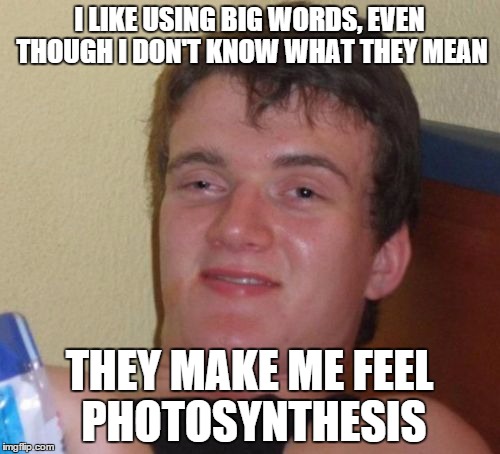 10 Guy Meme | I LIKE USING BIG WORDS, EVEN THOUGH I DON'T KNOW WHAT THEY MEAN THEY MAKE ME FEEL PHOTOSYNTHESIS | image tagged in memes,10 guy | made w/ Imgflip meme maker