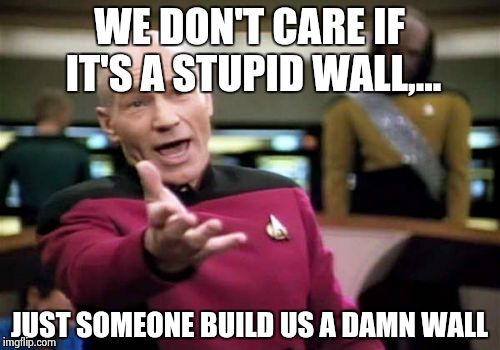 Picard Wtf Meme | WE DON'T CARE IF IT'S A STUPID WALL,... JUST SOMEONE BUILD US A DAMN WALL | image tagged in memes,picard wtf | made w/ Imgflip meme maker