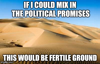 All that BS would be good for something | IF I COULD MIX IN THE POLITICAL PROMISES; THIS WOULD BE FERTILE GROUND | image tagged in friends are the flowers in the garden of life,politics,gardening | made w/ Imgflip meme maker