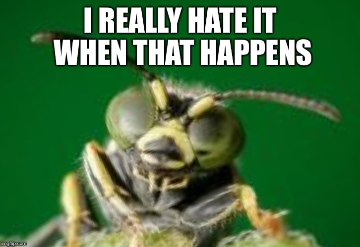 MR GREEN BUG | I REALLY HATE IT WHEN THAT HAPPENS | image tagged in mr green bug | made w/ Imgflip meme maker