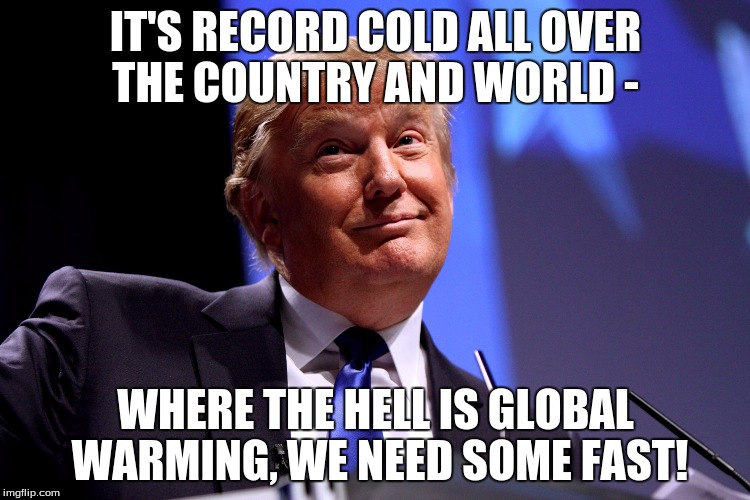 Donald Trump No2 | IT'S RECORD COLD ALL OVER THE COUNTRY AND WORLD -; WHERE THE HELL IS GLOBAL WARMING, WE NEED SOME FAST! | image tagged in donald trump no2 | made w/ Imgflip meme maker