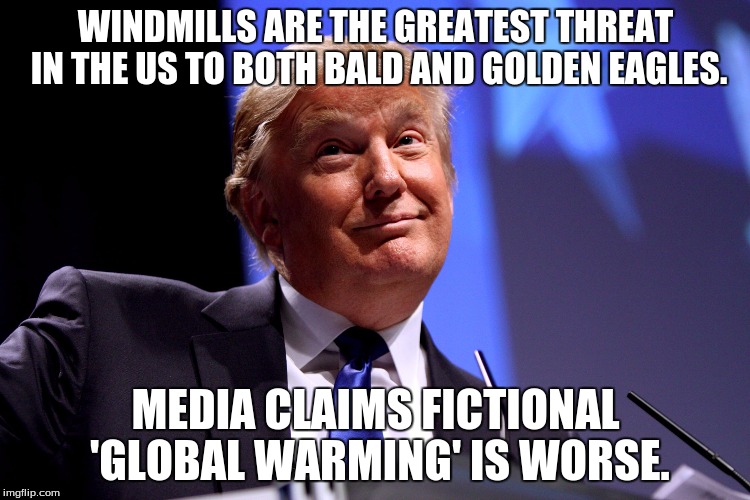 Donald Trump No2 | WINDMILLS ARE THE GREATEST THREAT IN THE US TO BOTH BALD AND GOLDEN EAGLES. MEDIA CLAIMS FICTIONAL 'GLOBAL WARMING' IS WORSE. | image tagged in donald trump no2 | made w/ Imgflip meme maker
