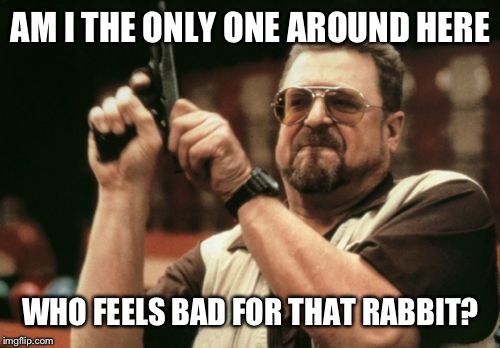 Am I The Only One Around Here Meme | AM I THE ONLY ONE AROUND HERE WHO FEELS BAD FOR THAT RABBIT? | image tagged in memes,am i the only one around here | made w/ Imgflip meme maker