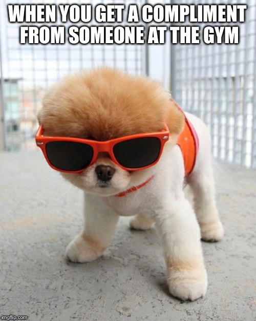 Gym Compliment | WHEN YOU GET A COMPLIMENT FROM
SOMEONE AT THE GYM | image tagged in gym compliment | made w/ Imgflip meme maker