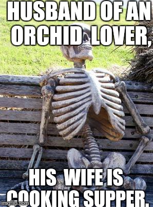 Waiting Skeleton | HUSBAND OF AN ORCHID  LOVER, HIS  WIFE IS COOKING SUPPER. | image tagged in memes,waiting skeleton | made w/ Imgflip meme maker