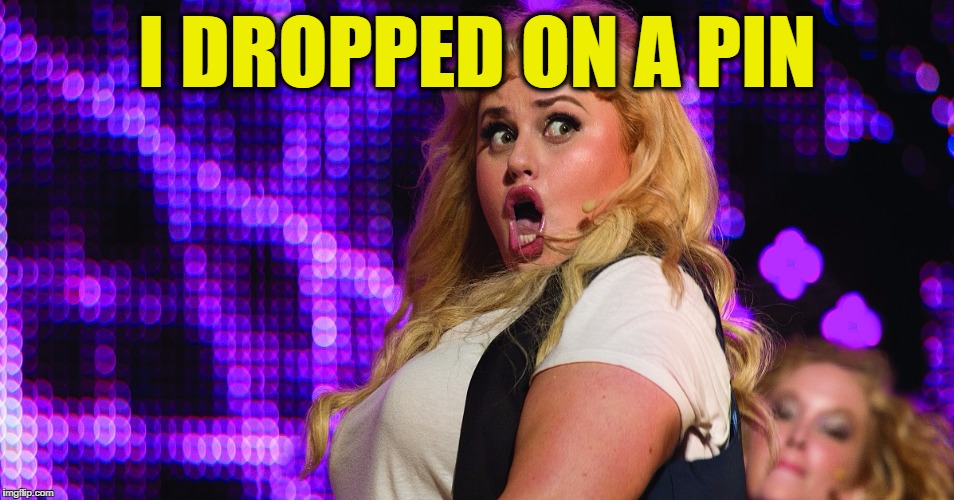 fat amy | I DROPPED ON A PIN | image tagged in fat amy | made w/ Imgflip meme maker