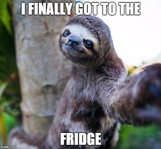 sloth selfie | I FINALLY GOT TO THE FRIDGE | image tagged in sloth selfie | made w/ Imgflip meme maker