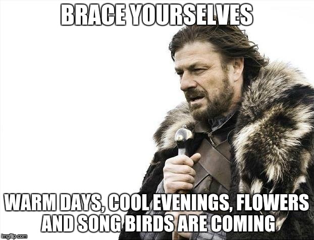 Brace Yourselves X is Coming | BRACE YOURSELVES; WARM DAYS, COOL EVENINGS, FLOWERS AND SONG BIRDS ARE COMING | image tagged in memes,brace yourselves x is coming | made w/ Imgflip meme maker