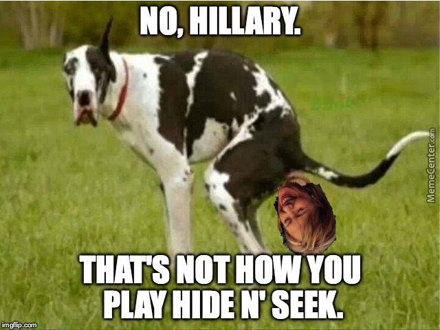 Hide n' Seek Hillary | NO, HILLARY. THAT'S NOT HOW YOU PLAY HIDE N' SEEK. | image tagged in dog,poop,hillary clinton | made w/ Imgflip meme maker