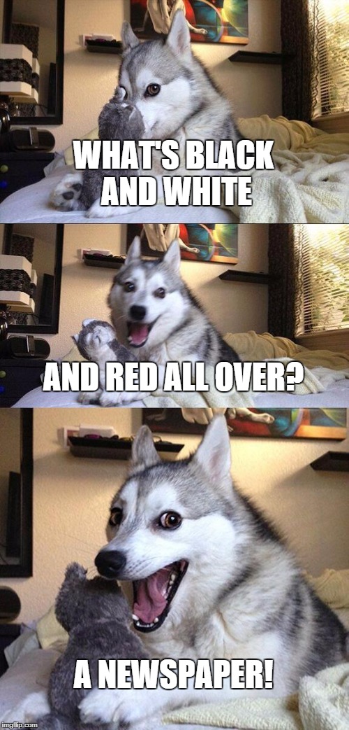 Bad Pun Dog Meme | WHAT'S BLACK AND WHITE AND RED ALL OVER? A NEWSPAPER! | image tagged in memes,bad pun dog | made w/ Imgflip meme maker