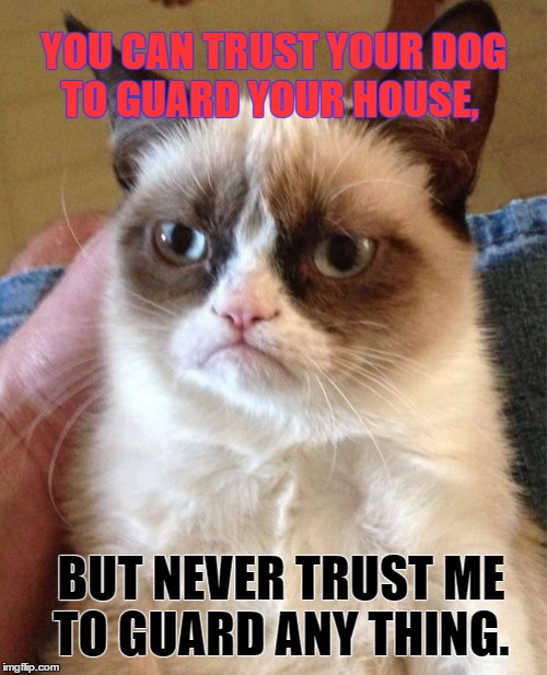 Grumpy Cat | YOU CAN TRUST YOUR DOG TO GUARD YOUR HOUSE, BUT NEVER TRUST ME TO GUARD ANY THING. | image tagged in memes,grumpy cat,loyalty,paxxx | made w/ Imgflip meme maker