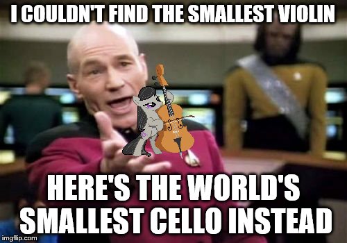 Picard Wtf Meme | I COULDN'T FIND THE SMALLEST VIOLIN HERE'S THE WORLD'S SMALLEST CELLO INSTEAD | image tagged in memes,picard wtf | made w/ Imgflip meme maker