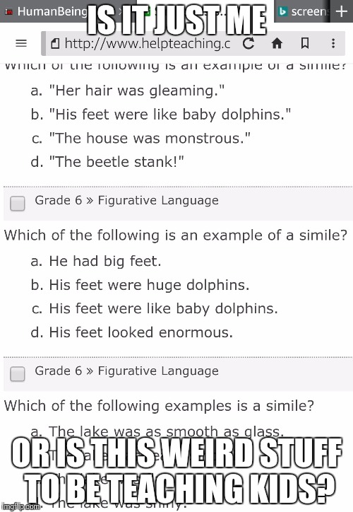 Dolphin Feet | IS IT JUST ME; OR IS THIS WEIRD STUFF TO BE TEACHING KIDS? | image tagged in weird,grammar | made w/ Imgflip meme maker