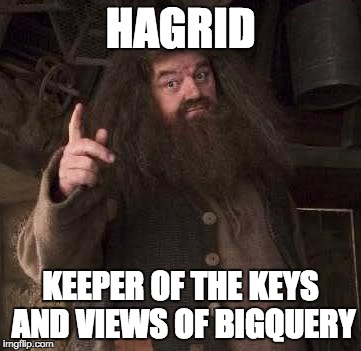 hagrid  | HAGRID; KEEPER OF THE KEYS AND VIEWS OF BIGQUERY | image tagged in hagrid | made w/ Imgflip meme maker