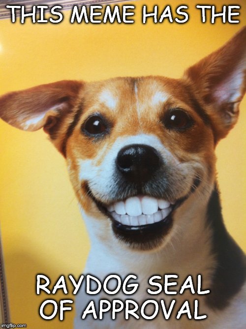 Raydog | THIS MEME HAS THE; RAYDOG SEAL OF APPROVAL | image tagged in raydog | made w/ Imgflip meme maker