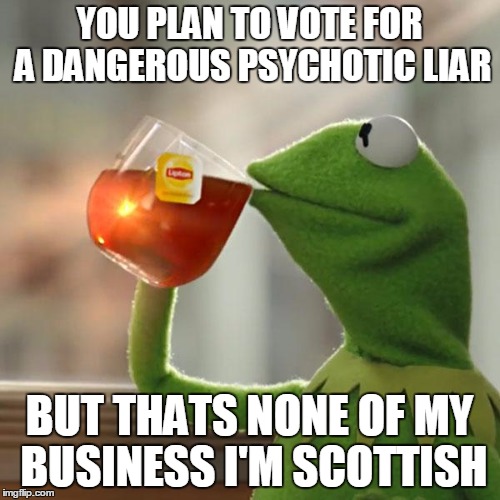 But That's None Of My Business Meme | YOU PLAN TO VOTE FOR A DANGEROUS PSYCHOTIC LIAR BUT THATS NONE OF MY BUSINESS I'M SCOTTISH | image tagged in memes,but thats none of my business,kermit the frog | made w/ Imgflip meme maker