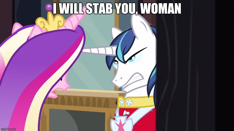 I will stab you | I WILL STAB YOU, WOMAN | image tagged in shining armor,cadence,mlp | made w/ Imgflip meme maker