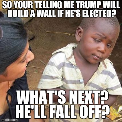 It's humpty dumpty all over again | SO YOUR TELLING ME TRUMP WILL BUILD A WALL IF HE'S ELECTED? WHAT'S NEXT? HE'LL FALL OFF? | image tagged in memes,third world skeptical kid | made w/ Imgflip meme maker