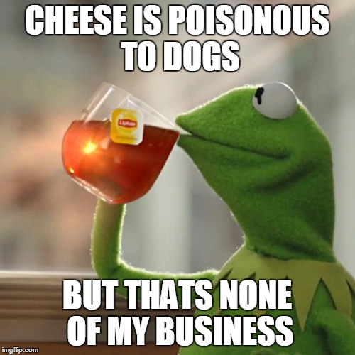 But That's None Of My Business Meme | CHEESE IS POISONOUS TO DOGS BUT THATS NONE OF MY BUSINESS | image tagged in memes,but thats none of my business,kermit the frog | made w/ Imgflip meme maker