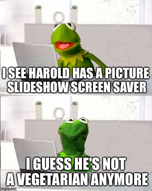 Hide The Pain Kermit | I SEE HAROLD HAS A PICTURE SLIDESHOW SCREEN SAVER; I GUESS HE'S NOT A VEGETARIAN ANYMORE | image tagged in hide the pain kermit,memes,kermit the frog | made w/ Imgflip meme maker