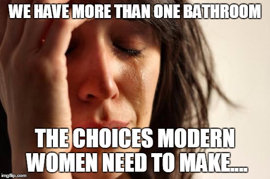 First World Problems Meme | WE HAVE MORE THAN ONE BATHROOM THE CHOICES MODERN WOMEN NEED TO MAKE.... | image tagged in memes,first world problems | made w/ Imgflip meme maker