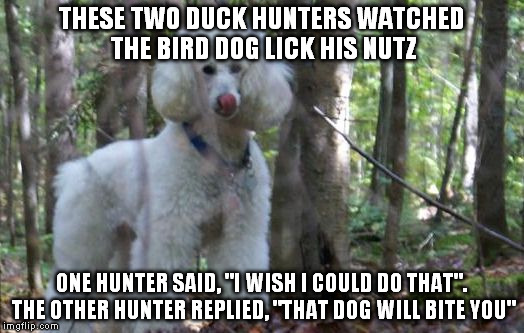 Raydog missed a joke | THESE TWO DUCK HUNTERS WATCHED THE BIRD DOG LICK HIS NUTZ; ONE HUNTER SAID, "I WISH I COULD DO THAT". THE OTHER HUNTER REPLIED, "THAT DOG WILL BITE YOU" | image tagged in funny memes,memes,hunting,jokes,dogs,hunter | made w/ Imgflip meme maker