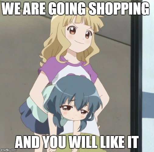 Anime Carry | WE ARE GOING SHOPPING; AND YOU WILL LIKE IT | image tagged in anime carry | made w/ Imgflip meme maker