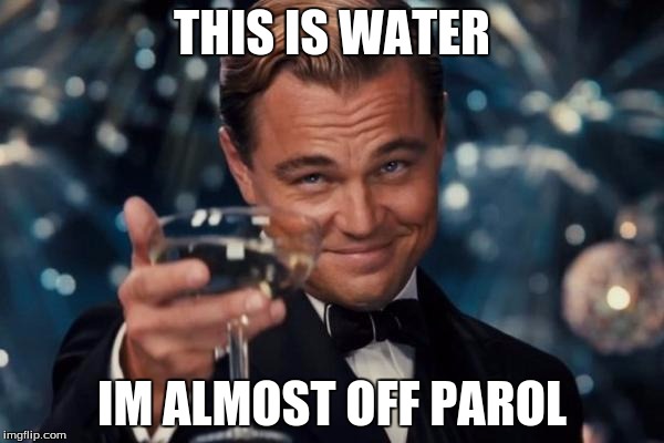 Leonardo Dicaprio Cheers | THIS IS WATER; IM ALMOST OFF PAROL | image tagged in memes,leonardo dicaprio cheers | made w/ Imgflip meme maker