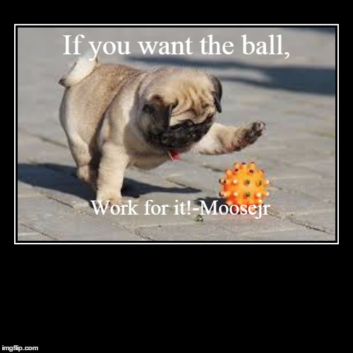 image tagged in funny,demotivationals | made w/ Imgflip demotivational maker