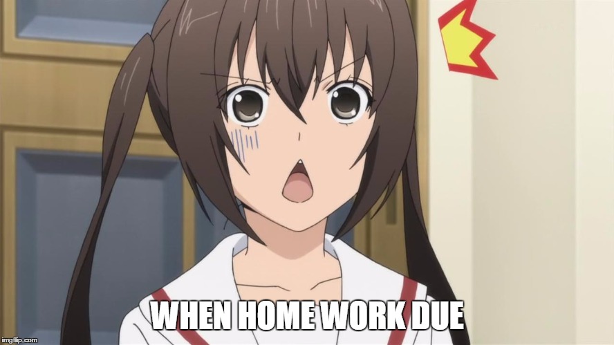 Surprised anime | WHEN HOME WORK DUE | image tagged in surprised anime | made w/ Imgflip meme maker