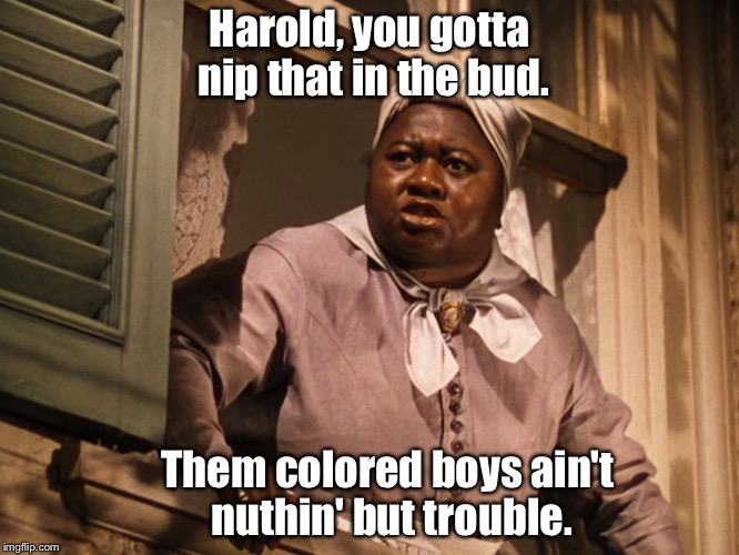 Mammy  | Harold, you gotta nip that in the bud. Them colored boys ain't nuthin' but trouble. | image tagged in mammy | made w/ Imgflip meme maker