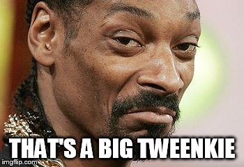 Snoop Dogg Approves | THAT'S A BIG TWEENKIE | image tagged in snoop dogg approves | made w/ Imgflip meme maker