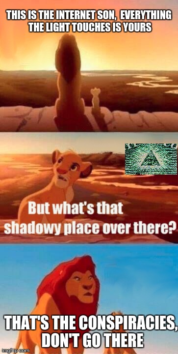 Simba Shadowy Place Meme | THIS IS THE INTERNET SON,  EVERYTHING THE LIGHT TOUCHES IS YOURS; THAT'S THE CONSPIRACIES, DON'T GO THERE | image tagged in memes,simba shadowy place | made w/ Imgflip meme maker