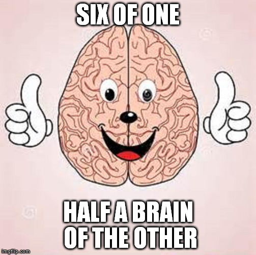 SIX OF ONE HALF A BRAIN OF THE OTHER | made w/ Imgflip meme maker