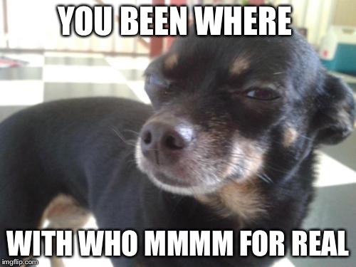 Skeptical Chihuahua | YOU BEEN WHERE; WITH WHO MMMM FOR REAL | image tagged in skeptical chihuahua | made w/ Imgflip meme maker
