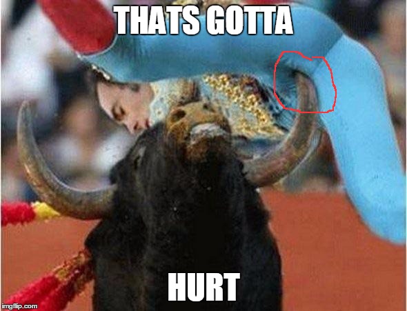 BullFighter | THATS GOTTA; HURT | image tagged in bullfighter | made w/ Imgflip meme maker